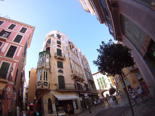 Palma de Mallorca: Guided Tour of the Old Town - Almudaina Palace, civic buildings, and a look at power up close