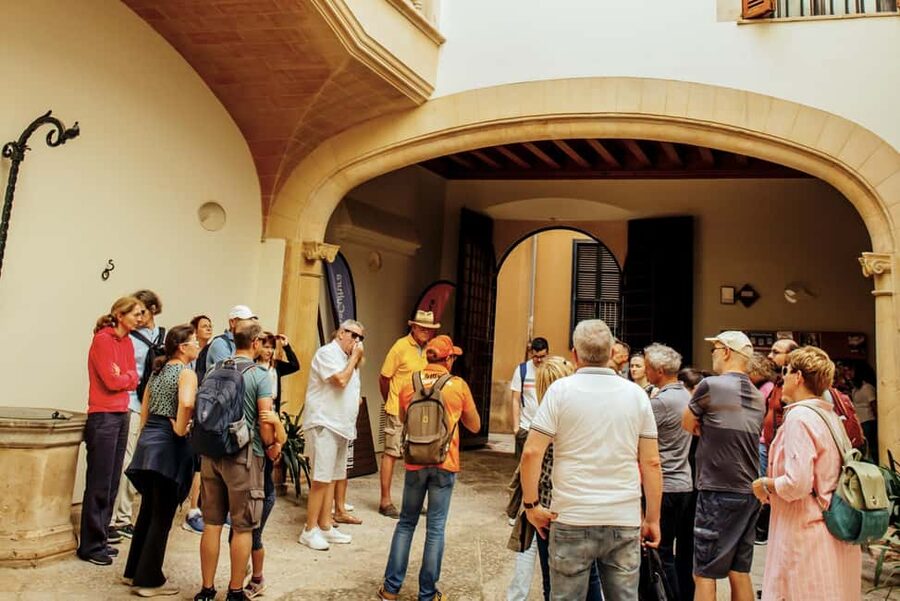 Palma de Mallorca: Old Town and Cathedral Tour - Timing Trick: 11:30 or 13:30, and Why Quieter Usually Wins