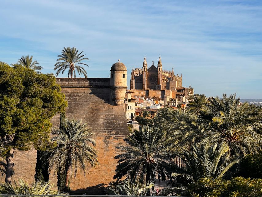 Palma de Mallorca: Old Town Atmospheric Evening Tour - Palma after sunset: why this tour feels worth 2 hours