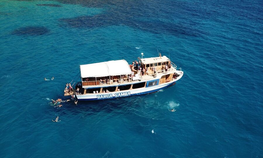 Palma de Mallorca: Palma Bay Boat Tour with Snorkeling - Price and Value at About $47 Per Person