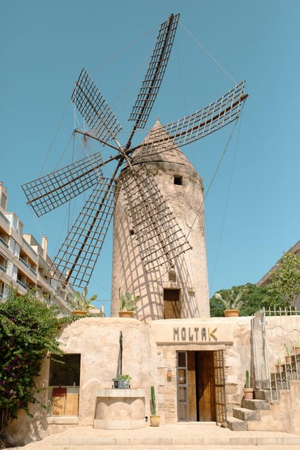Palma de Mallorca: Spanish Cooking Experience - Key highlights worth aiming for