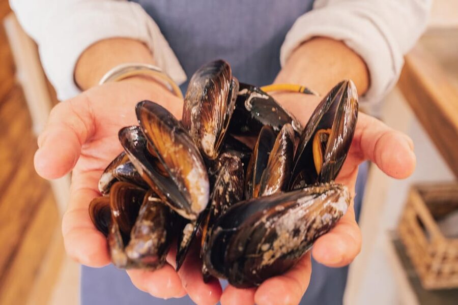Palma de Mallorca: Spanish Cooking Experience - The social meal at one big table