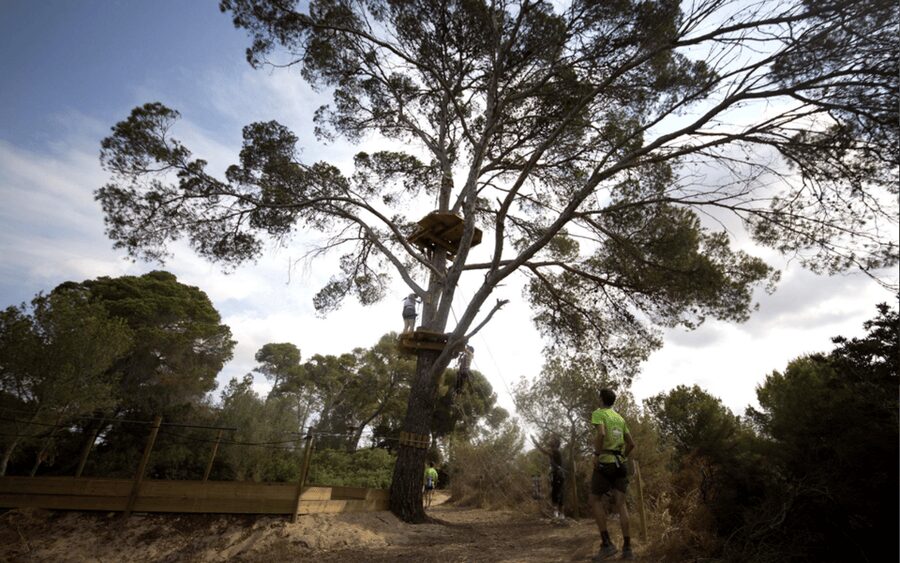 Palma: Family or Sports Course Adventure at Forestal Park - Value for about $31: what you get for the money