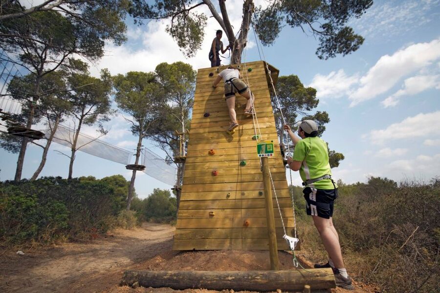 Palma: Family or Sports Course Adventure at Forestal Park - Forestal Park Mallorca: tree-to-tree action near Palma