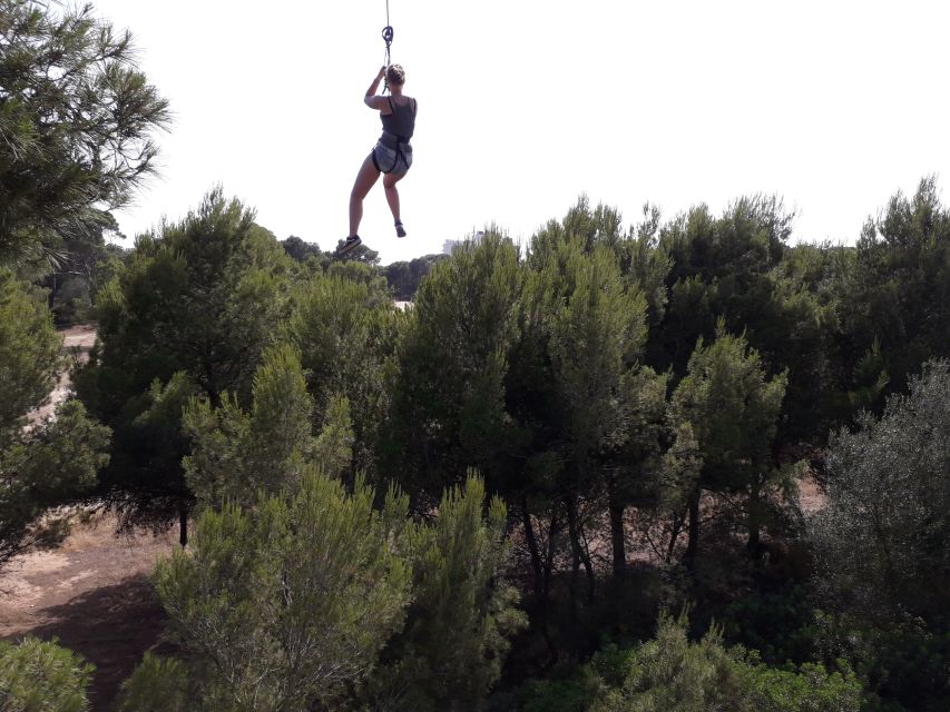 Palma: Family or Sports Course Adventure at Forestal Park - Who should do Forestal Park Mallorca, and who should skip it