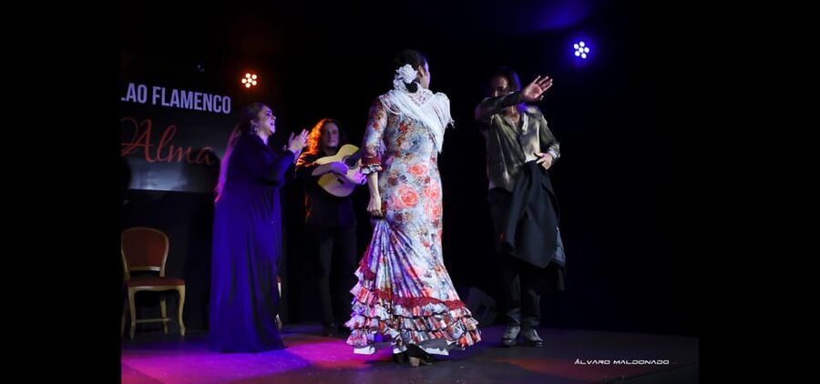 Palma: Flamenco Show at Tablao Flamenco Alma with Drink - Key takeaways before you go