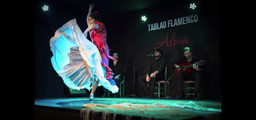 Palma: Flamenco Show at Tablao Flamenco Alma with Drink - The staff and hospitality, what it feels like to be welcomed