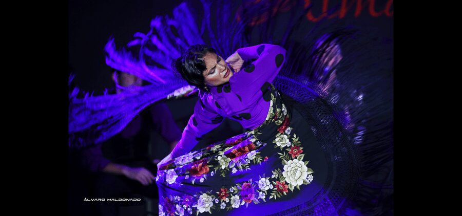 Palma: Flamenco Show at Tablao Flamenco Alma with Drink - Should you book this Palma flamenco show?