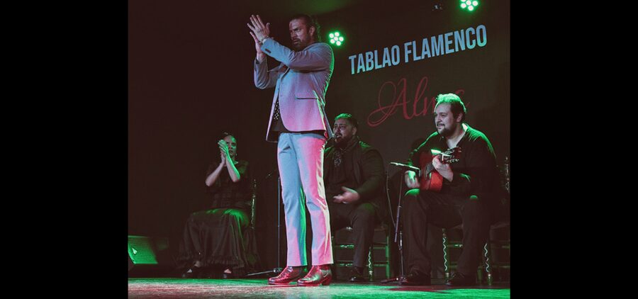 Palma: Flamenco Show at Tablao Flamenco Alma with Drink - Drink option versus tapas option, and what you get with each