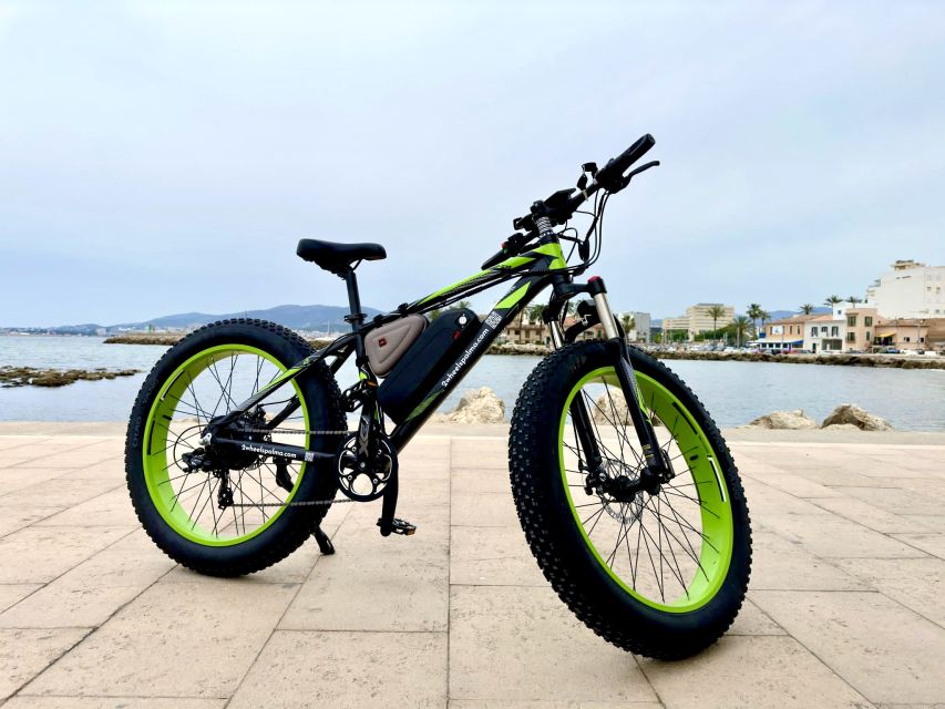 Palma: Guided City Tour with a Fat Tire E-Bike - Palma Cathedral of Light: 59 windows, five rose windows, and a stop worth slowing down for