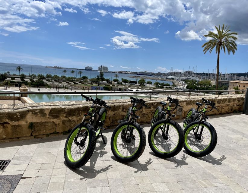 Palma: Guided City Tour with a Fat Tire E-Bike - From the Cathedral to the beach promenade: Portixol to El Molinar in one smooth motion