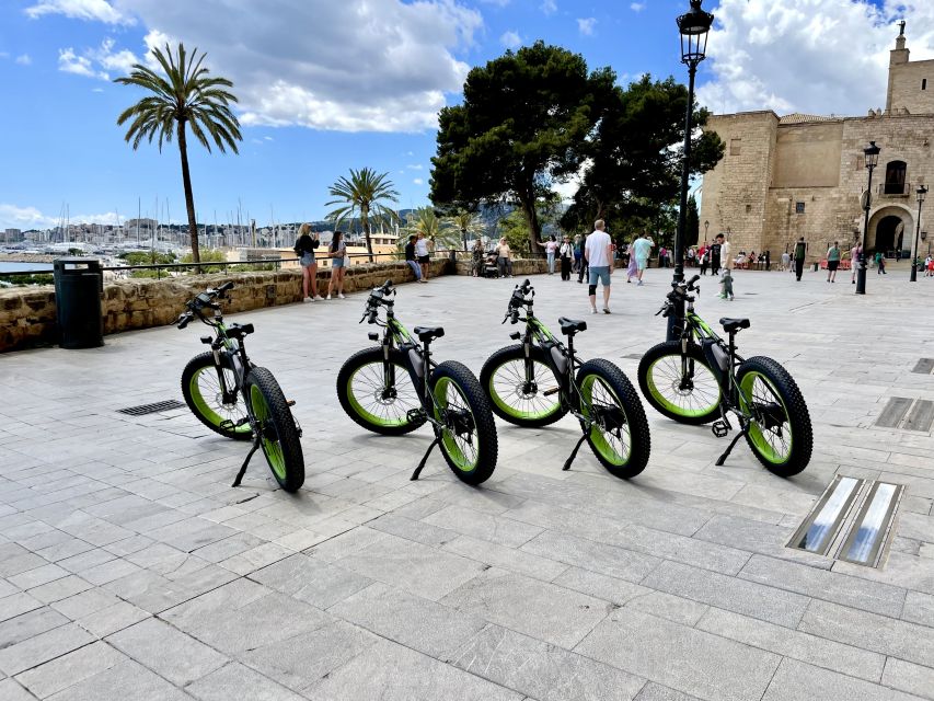 Palma: Guided City Tour with a Fat Tire E-Bike - Price and value: $41 makes more sense than it sounds