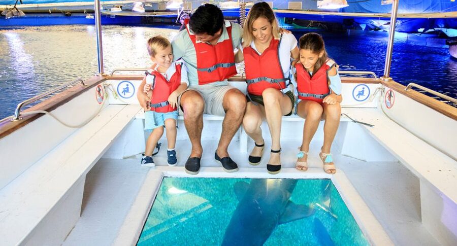 Palma: Palma Aquarium Ticket with Transfer Service - Key highlights you will actually care about
