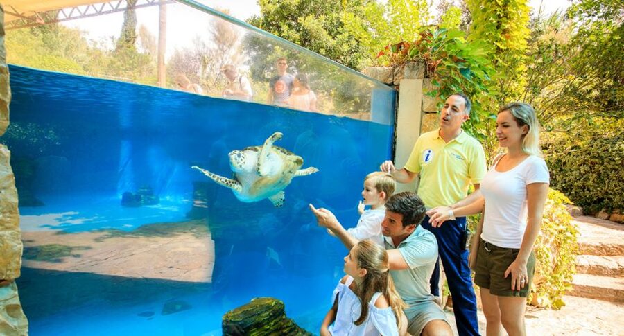 Palma: Palma Aquarium Ticket with Transfer Service - Ocean experts and 8 thematic areas: learning that stays practical