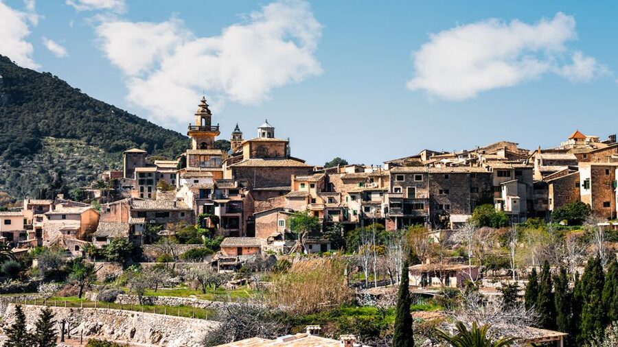 Palma: Tramuntana Full-Day Tour with Sóller Train and Lunch - Quick, practical highlights