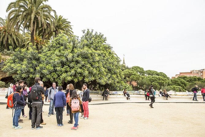 Park Guell Guided Tour with Skip the line Ticket - Who this Parc Güell tour suits best