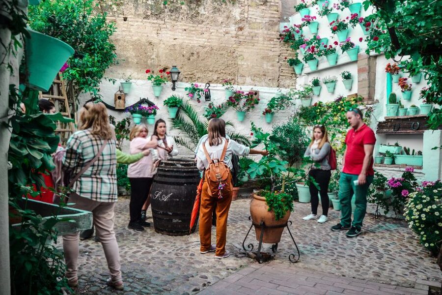 Patios of Cordoba Walking Tour - Entering San Basilio Patios, Where the Courtyard Is the Point