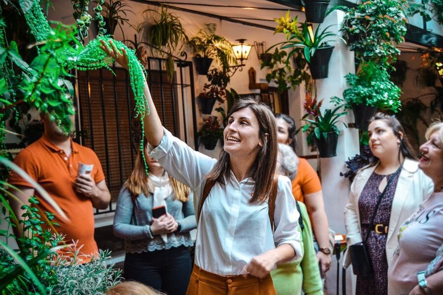 Patios of Cordoba Walking Tour - What You Actually See, Flowers, Mosaics, and Courtyard Traditions