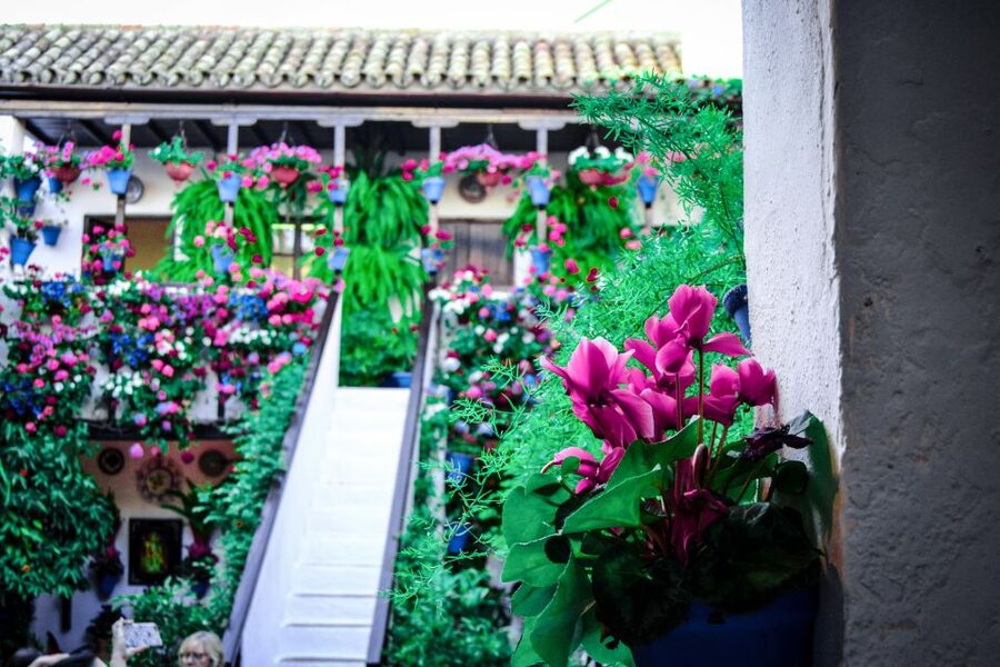 Patios of Cordoba Walking Tour - The Tour Flow in 2 Hours, How Long Each Moment Feels