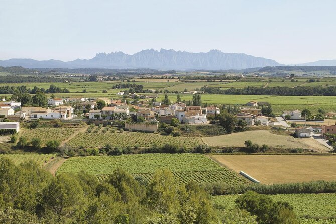 Penedes Wine & Cava Tasting & 4WD Vineyards Tour from Barcelona - Key highlights to know before you go