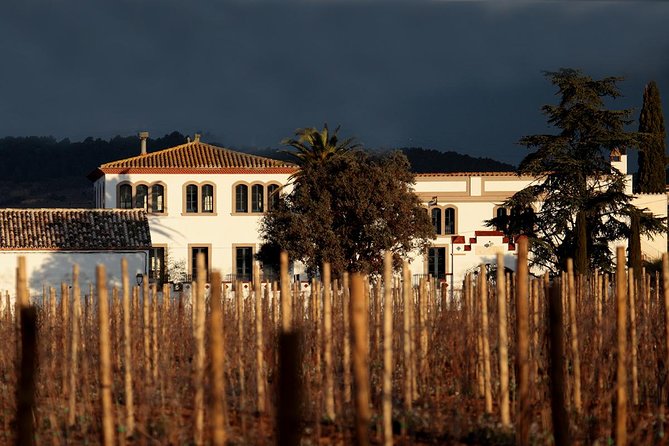 Penedes Wine & Cava Tasting & 4WD Vineyards Tour from Barcelona - Tastings and pairings: three wines, four cavas, plus local bites