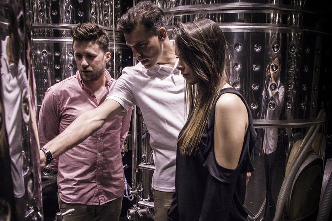 Penedes Wine & Cava Tasting & 4WD Vineyards Tour from Barcelona - Group size, pacing, and what to expect with walking and standing