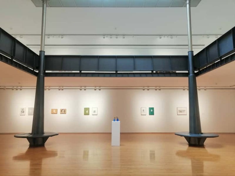 Picasso Museum and Walking Tour Plus Wine Tasting Upgrade - Why this Picasso walking tour + museum combo works