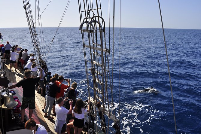 Pirate Adventure Boat Tour with Lunch in Fuerteventura - Practical Tips for a Smooth Pirate Adventure