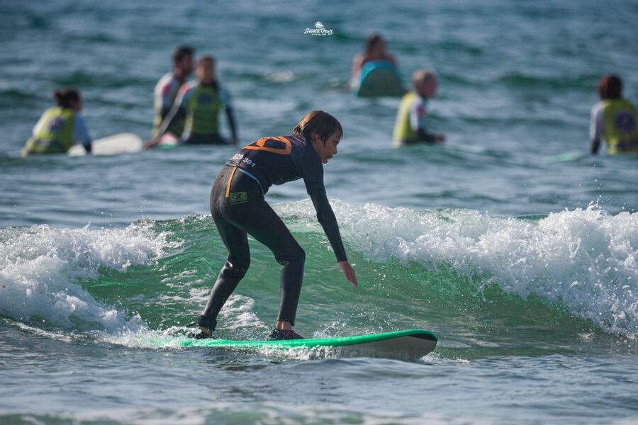 Playa de las Américas: Private or Small-Group Surf Lesson - Price and value at about $41 for two hours