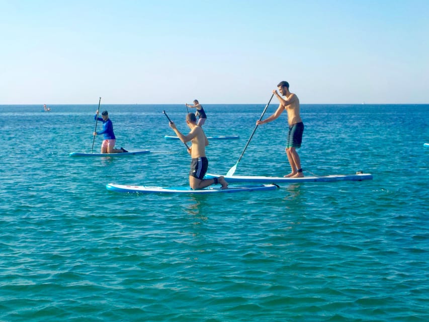Playa Palma: Stand-up Paddleboard Rental - Swimming requirement and who this SUP rental is not for