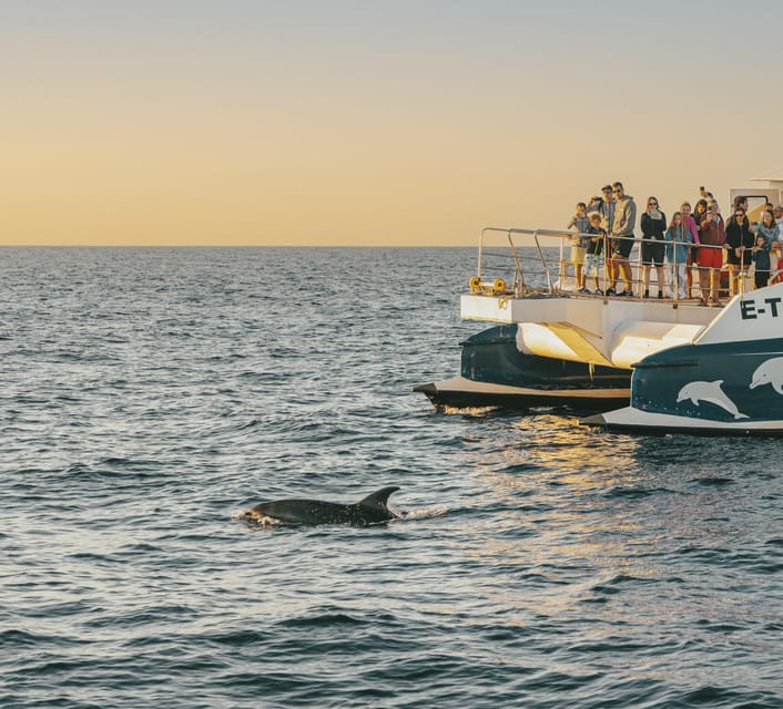 Port d'Alcudia: Sunrise at Sea & Dolphin Watching Boat Tour - Port d’Alcúdia at Dawn: Why Getting Up Early Works