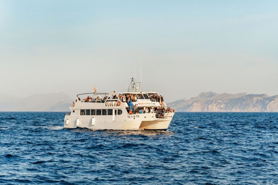 Port d'Alcudia: Sunrise at Sea & Dolphin Watching Boat Tour - The Sunrise Stop: How to Get Good Views in 15 Minutes