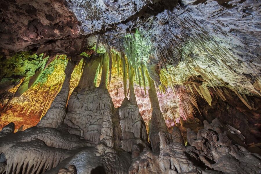 Porto Cristo: Caves of Hams Entry Ticket - Round Cave and the botanical garden pocket with birds