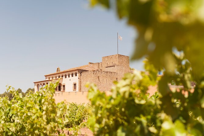 Premium Montserrat & Wine Full Day Tour from Barcelona - From Barcelona North Station to Montserrat: the pacing that works