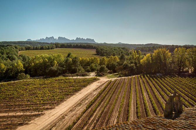 Premium Montserrat & Wine Full Day Tour from Barcelona - The guide experience: why names like Ivan, Elena, Xavi, and Vince pop up