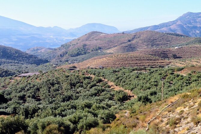 Premium Scenic Daytrip to Alpujarra Villages from Granada (Max 8) - Fuente Agria: The Small-Vehicle-Only Water Stop You Can Actually Taste