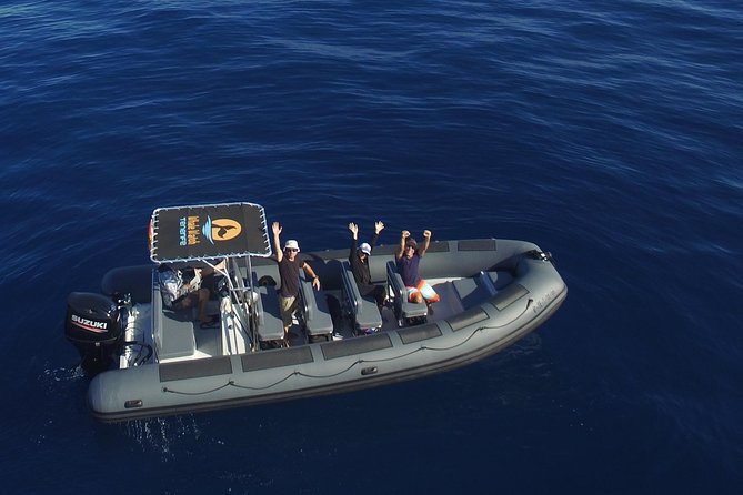 Private 2 hour Whale Watching Tour - Key details that make this whale watch work