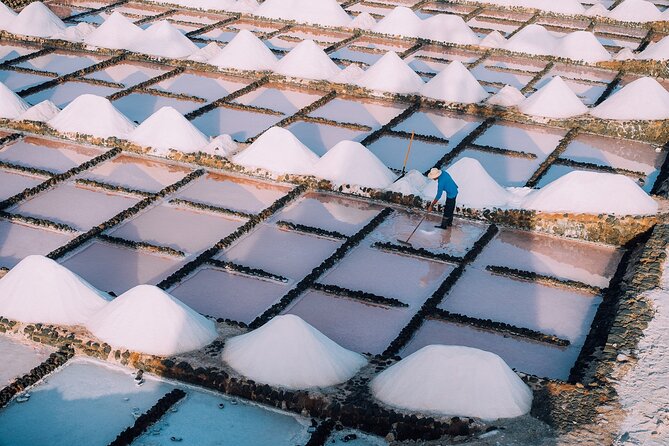 Private and Guided Tour to the Salinas de Janubio with Tasting - The 90-minute guided walk: from cookers to extraction