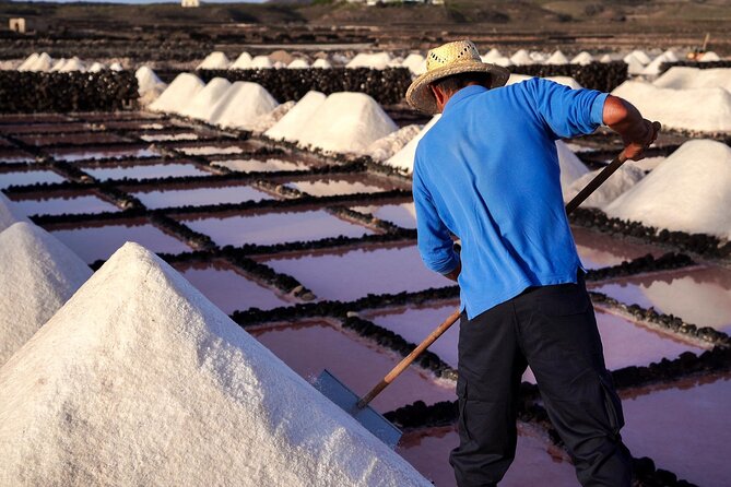 Private and Guided Tour to the Salinas de Janubio with Tasting - Guides, languages, and the quality of explanation
