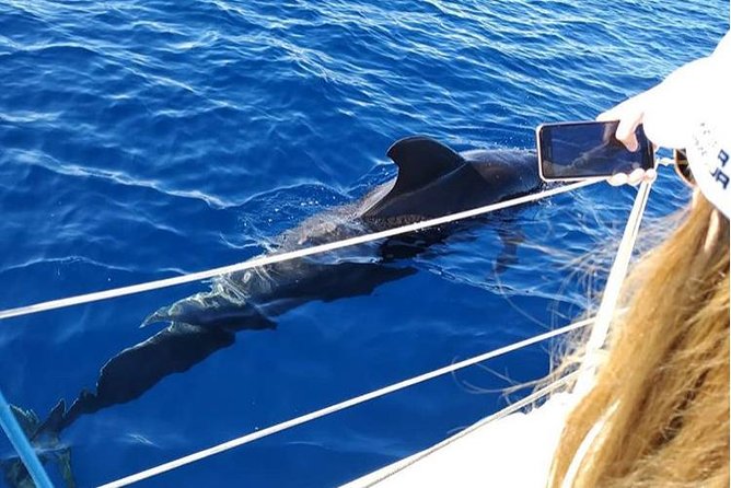 Private Charter in Tenerife south max 7 people - Captain Diego and the kind of wildlife talk you want