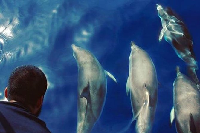 Private Charter in Tenerife south max 7 people - Playa del Puertito stop: where you can choose to get in