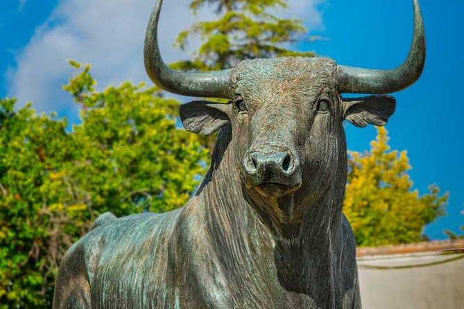 Private Day Trip to Ronda from Malaga with Driver-Guide - Plaza de Toros de Ronda: Spain’s oldest bullring stop