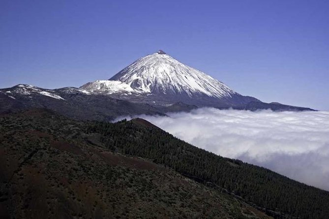 Private Excursions For Cruise Ship Passengers - Key Things That Make This Tour Worth Your Time