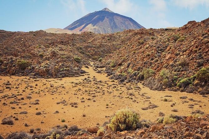 Private Excursions For Cruise Ship Passengers - How the 6-Hour Day Feels on Tenerife