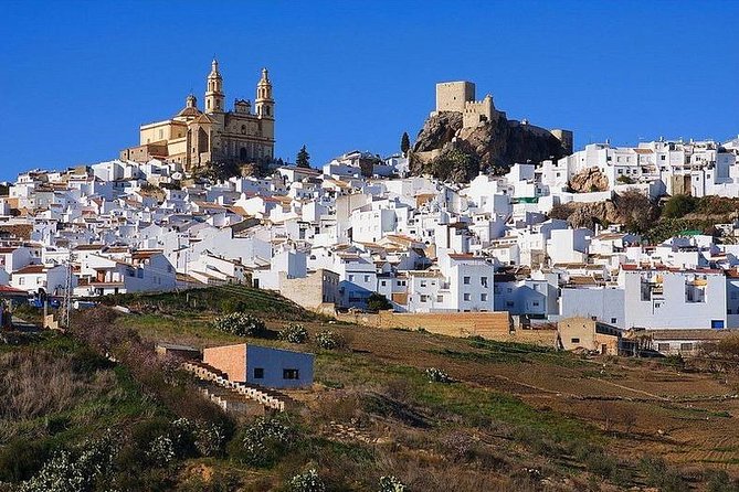 Private Guided Day Trip to the White Villages and Ronda from Seville - Why this White Villages and Ronda day trip feels like a reset