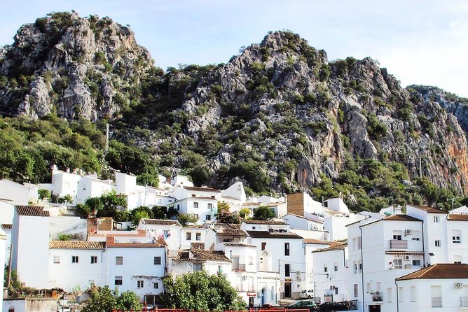 Private Guided Day Trip to the White Villages and Ronda from Seville - Zahara de la Sierra: a guided 2-hour hill town with ticket included