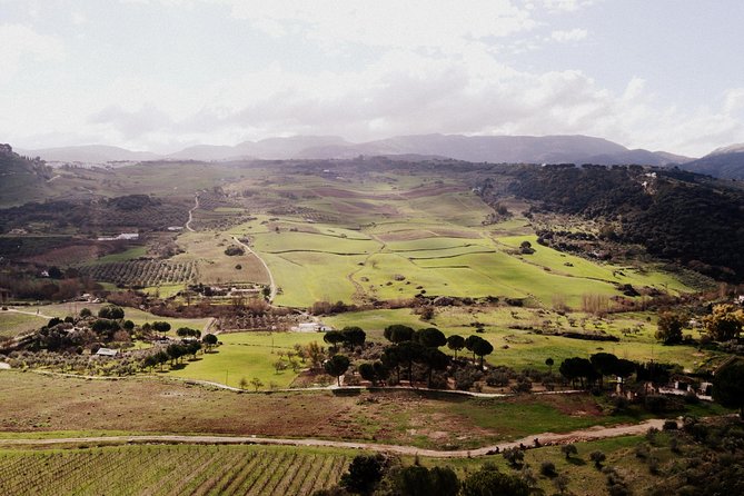Private Guided Day Trip to the White Villages and Ronda from Seville - How private guiding changes everything, from pacing to photo stops