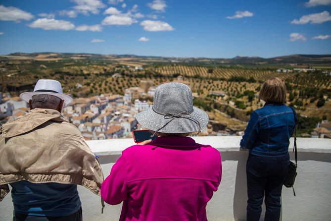 Private Guided Day Trip to the White Villages and Ronda from Seville - Price and what you really get for $360.53 per person