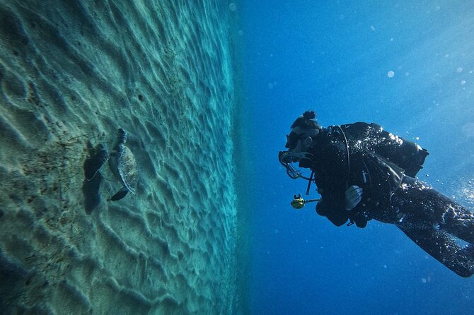 Private Scuba Diving in Tenerife – Certified Instructor & Photos - What your 3-hour schedule looks like (and why each piece matters)