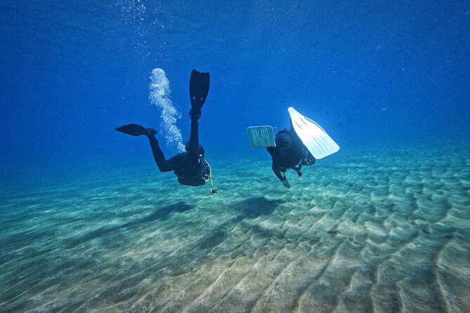 Private Scuba Diving in Tenerife – Certified Instructor & Photos - Equipment, photos, and the part that makes it worth it